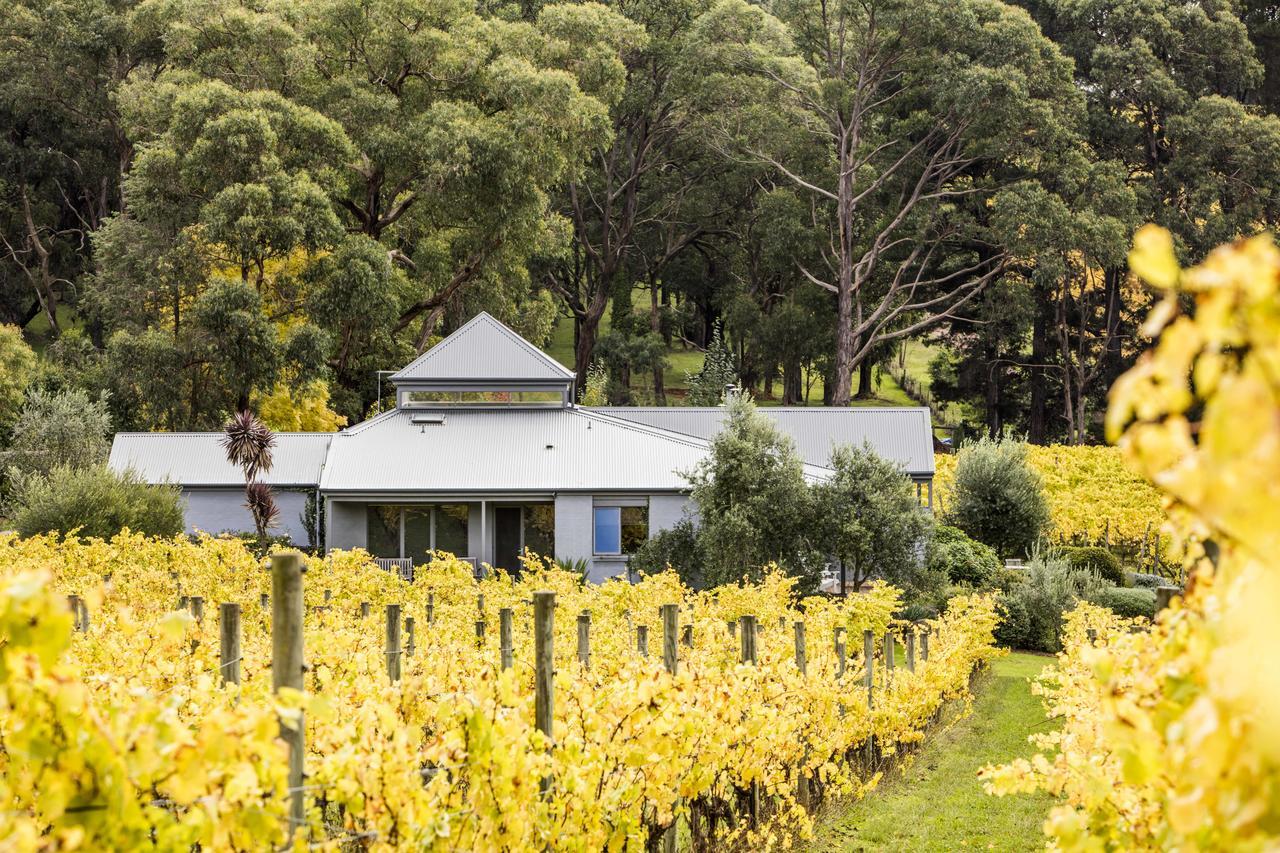 Polperro Villas Red Hill Exterior photo