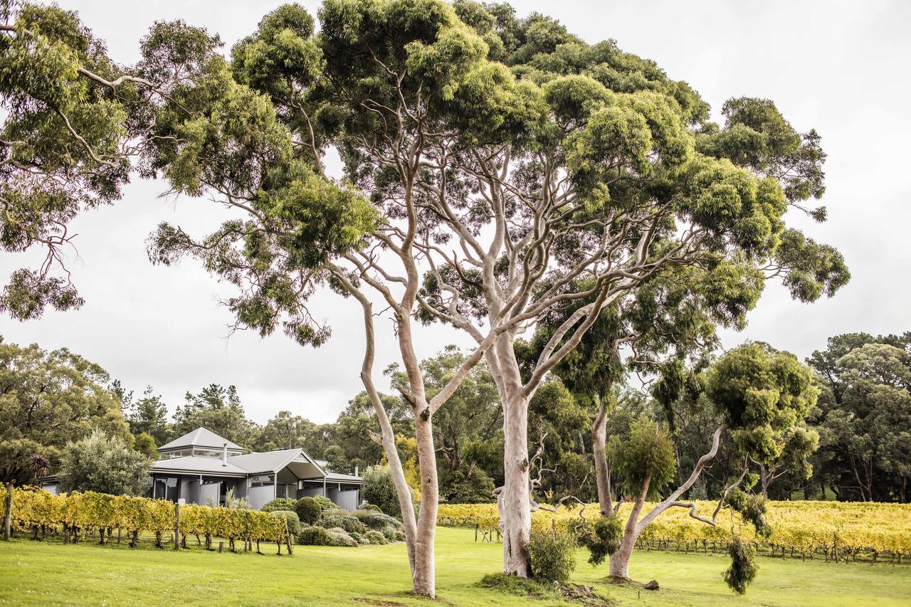 Polperro Villas Red Hill Exterior photo